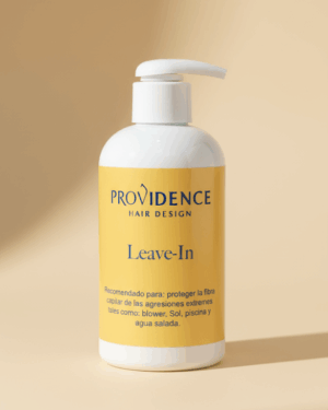 Providence Hair Design Leave-In Conditioner Protection